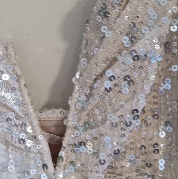 Vici Sequin Platinum balloon sleeve Dress Size M - Picture 5 of 15